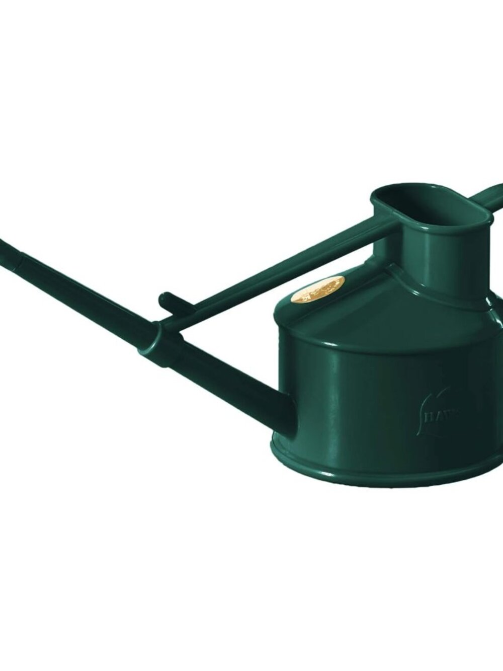 Handy Plastic Watering Can, Mini Water Can for Indoor Plants, Succulents and Flo